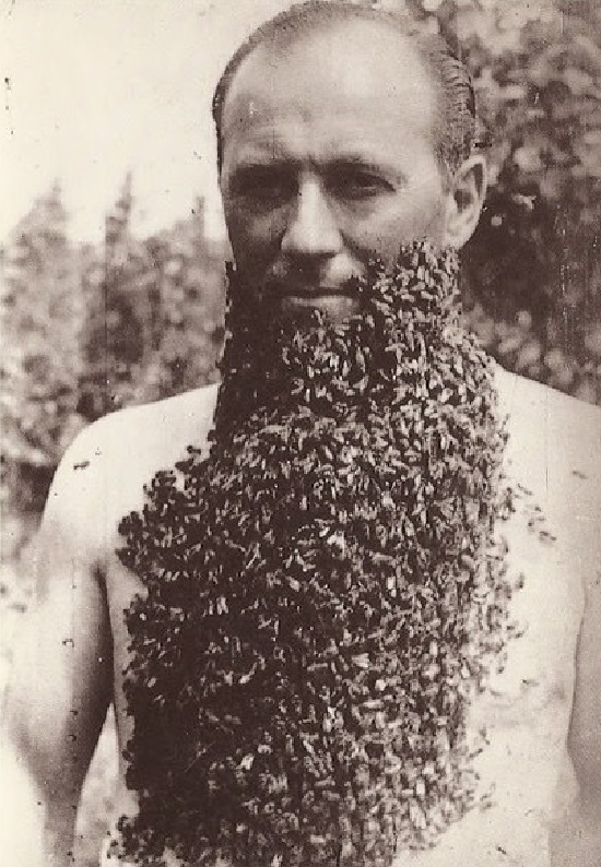 Мужчина с бородой из пчел. 1960-е