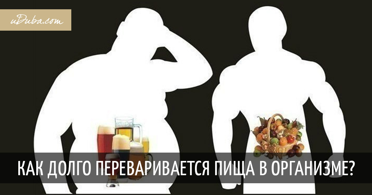 Как долго мы Перевариваем продукты - YouTube