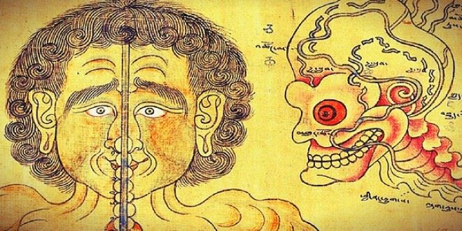 настойка для очищения организма настойка для очищения организма