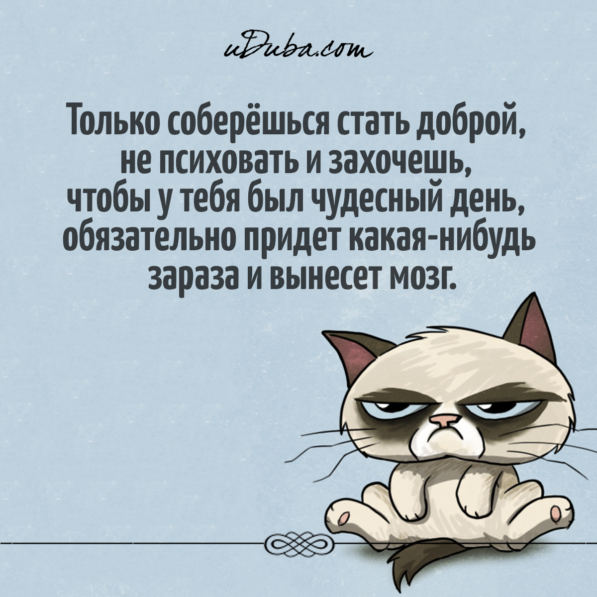 Только соберешься разбогатеть картинки прикольные