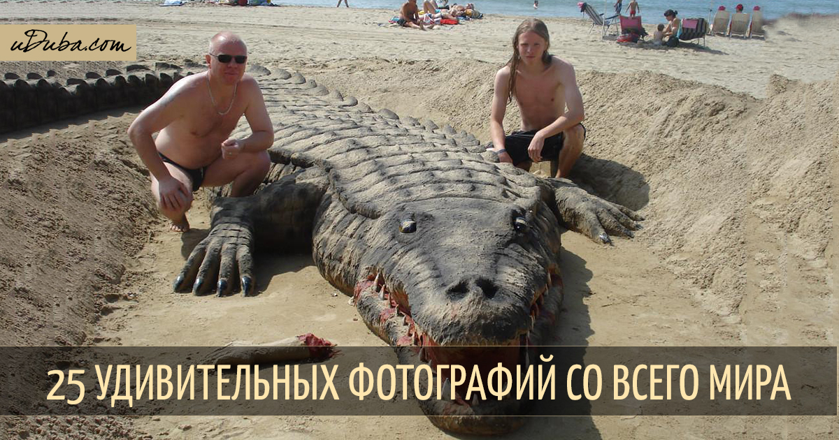 25 удивительных фотографий со всего света | uDuba.com