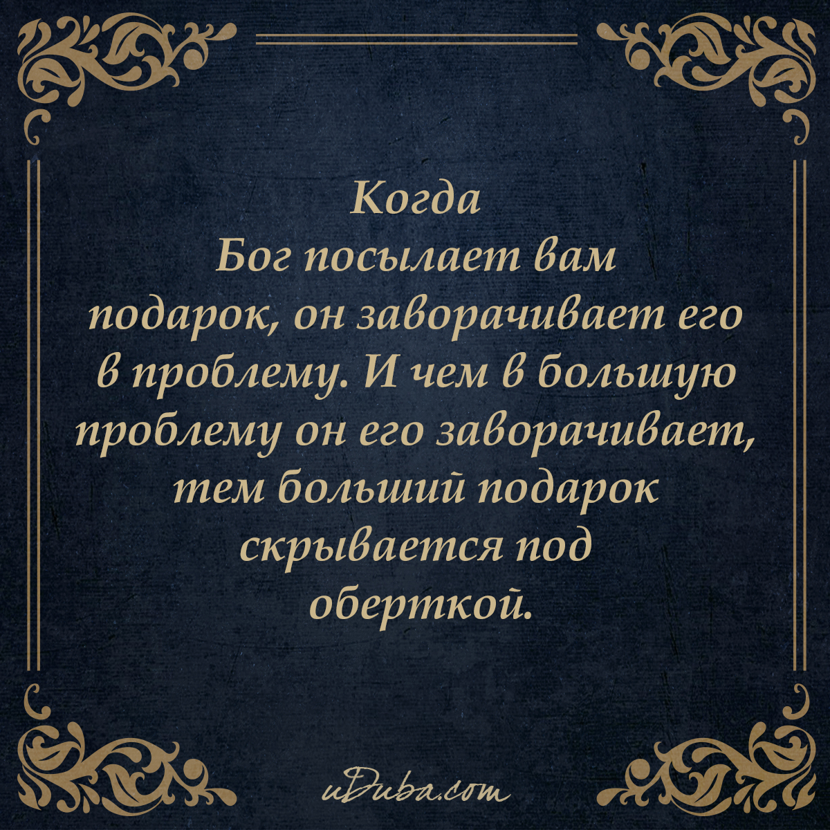 Когда бог посылает вам подарок он 252