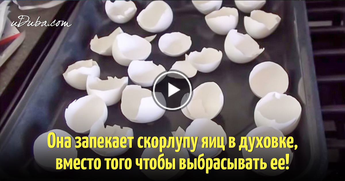 Как сделать кальцию из скорлупы яйца Как сделать кальцию из скорлупы яйца