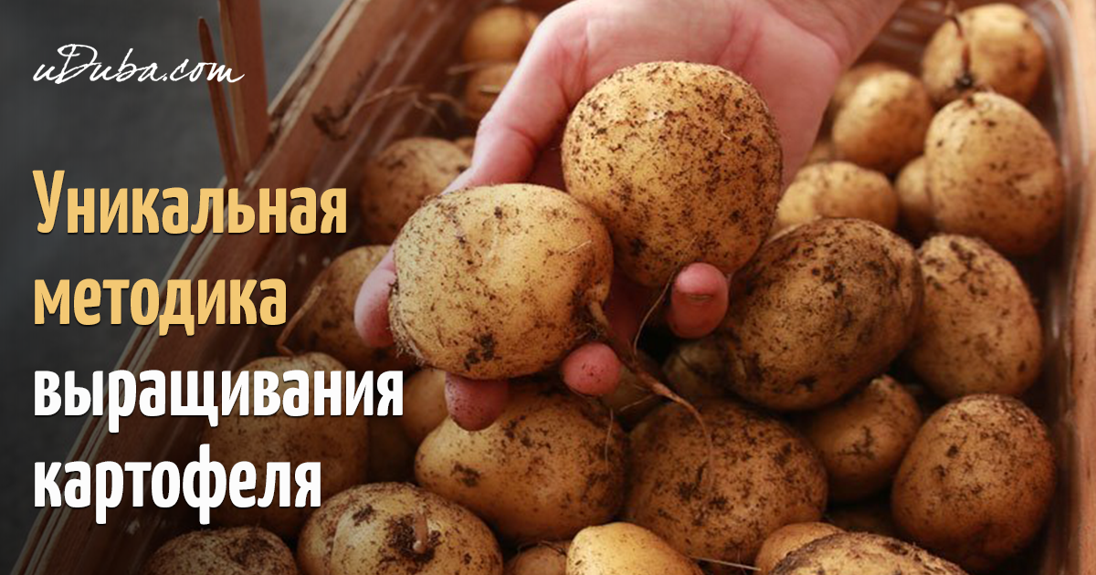 GSM-модуль для дистанционного управления