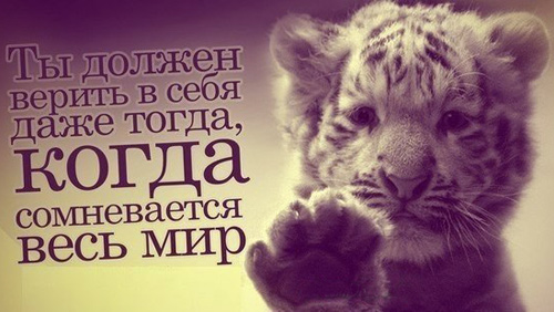 фото с цитатами о жизни онлайн фото с цитатами о жизни