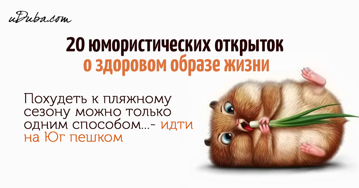 Пока соберешься вести здоровый образ жизни уже ни образа ни жизни картинка