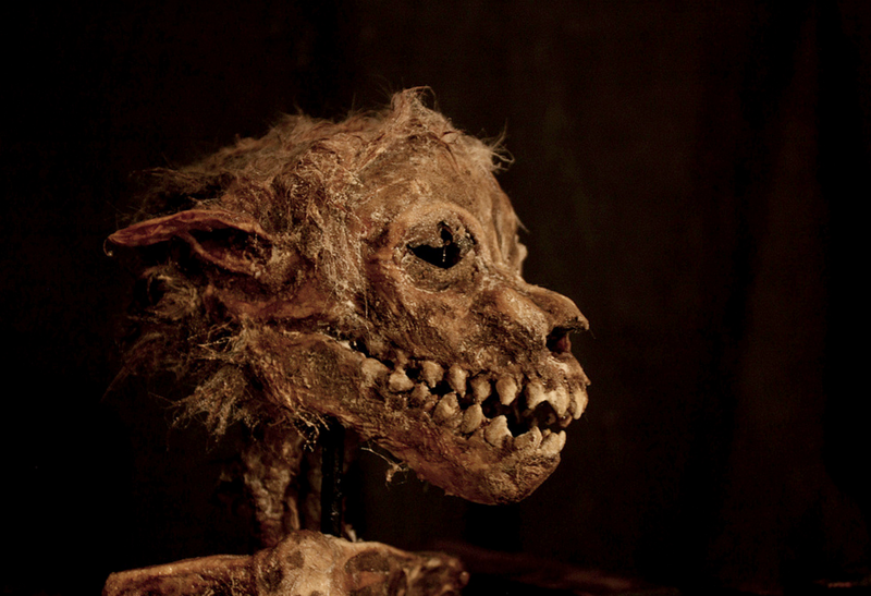 В подвале старого лондонского особняка нашли тела странных существ интересное, лондон, непознанное, томас мерлин