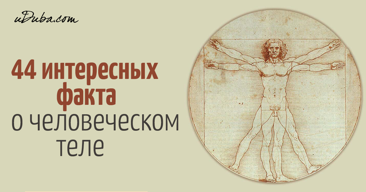 Воспитатель в детском саду -наращенные ресницы и яркий маникюр Международные фестивали и конкурсы в Греции: вокальные