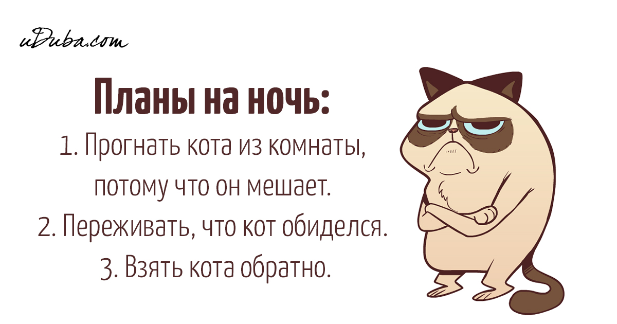 Смешные планы на сегодня