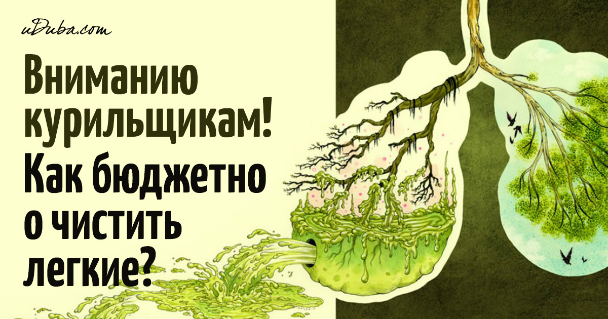Чем почистить лёгкие в домашних условиях 412
