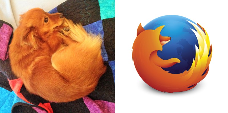 2. Собака и Firefox вещи, люди, похожие лица, схожесть